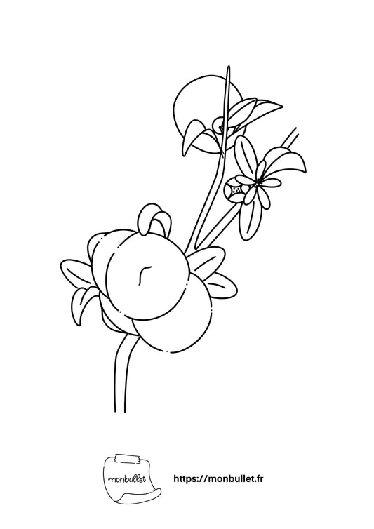 Feuille de coloriage « Sooo lemony»